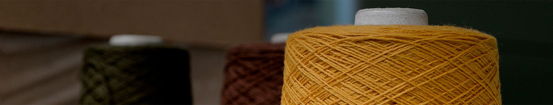 Ricerca e Sviluppo 1 Ribknit Service Srl